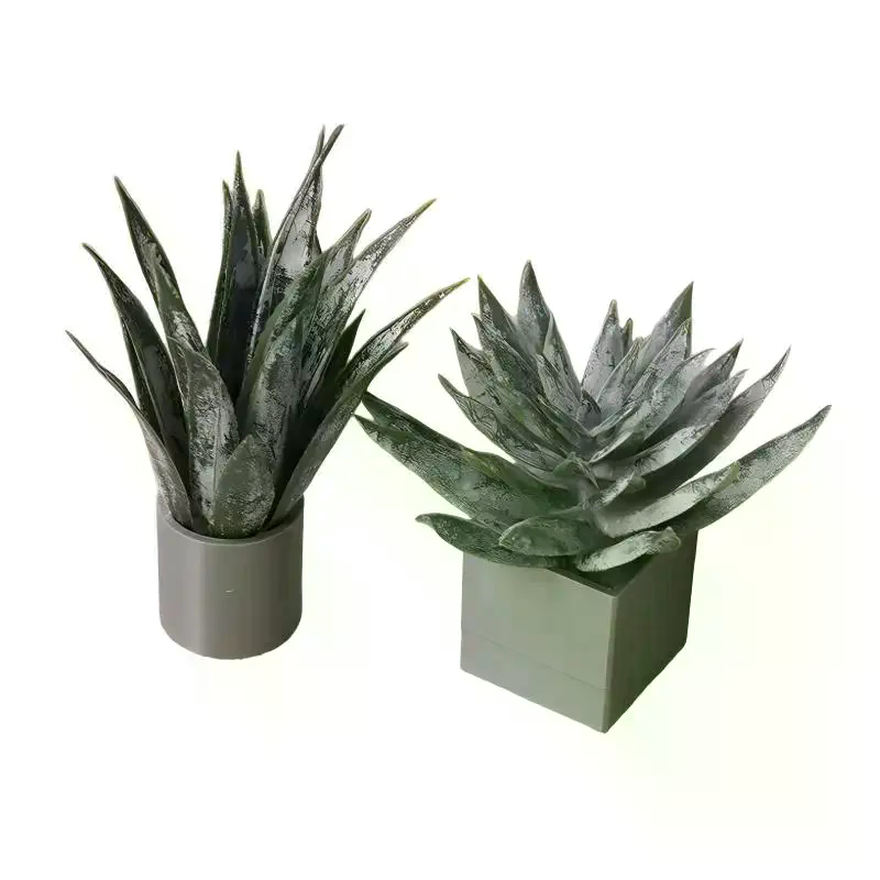 Miniature Aloe Vera Potted Pla - огляд і ціна Aloe Vera Pot