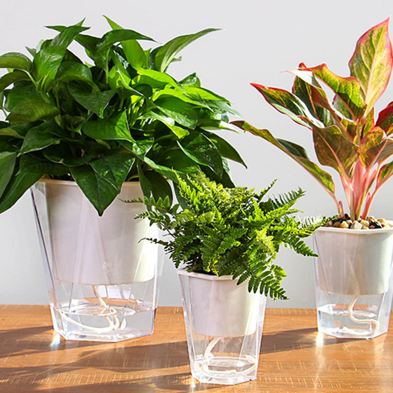 Flower Plant Pot Self Watering - огляд і ціна Aloe Vera Pot