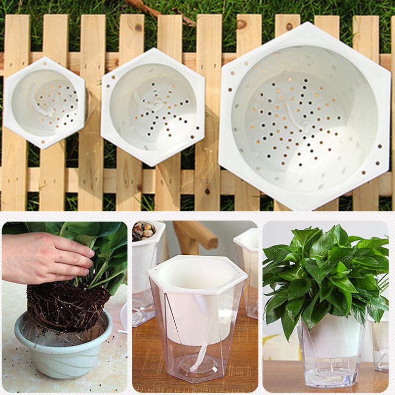 Flower Plant Pot Self Watering - огляд і ціна Aloe Vera Pot