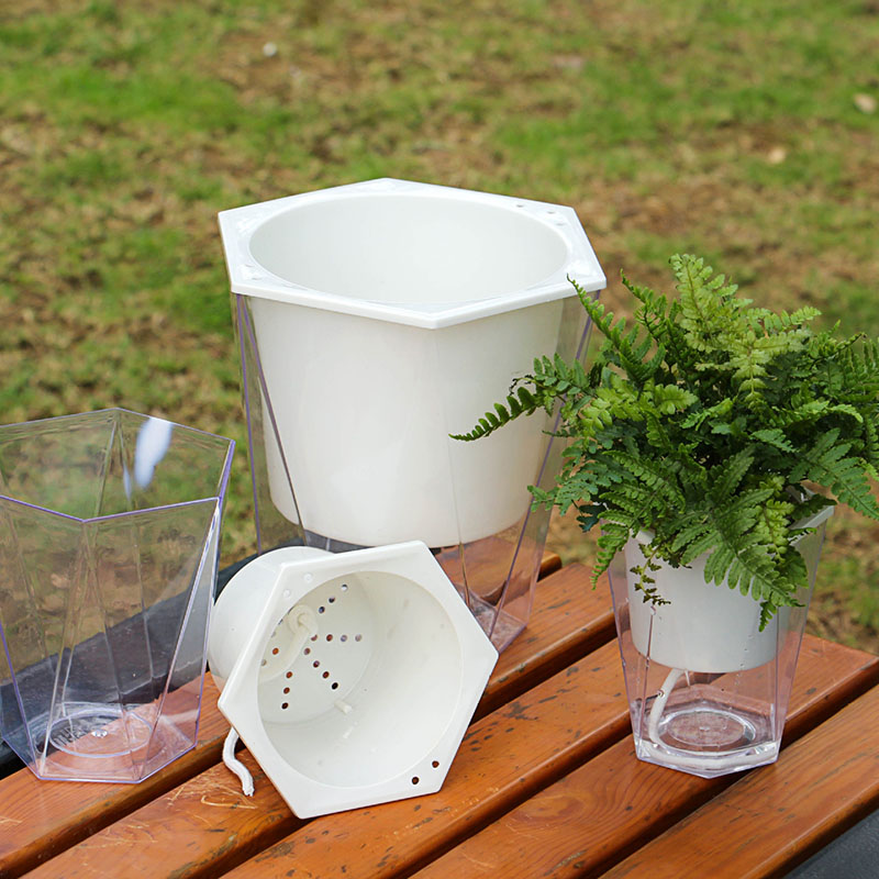 Flower Plant Pot Self Watering - огляд і ціна Aloe Vera Pot